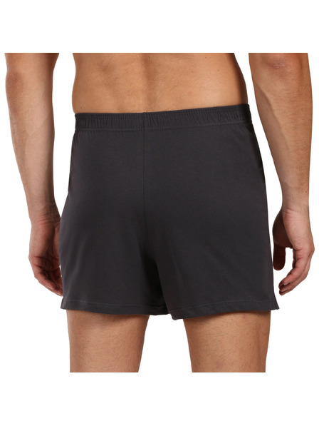andrie Мъжки боксерки Andrie сиви (PS 5877/grey)
