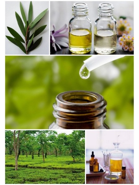 Caribbean Sun Сол за почистване на морски гъби Caribbean Sun Tea Tree 400 г